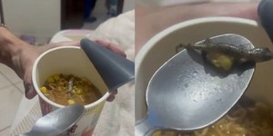 Mulher encontra lagartixa em macarrão e ganha R$ 3 mil