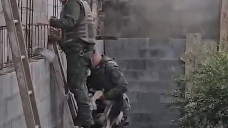 VÍDEO: cães presos entre paredes são resgatados na Grande SP