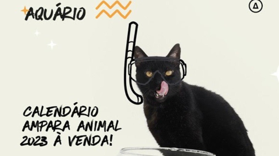 Gato preto é a estrela do signo de Aquário