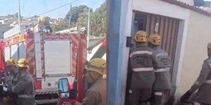 Idosa de 75 anos é atacada e morta pelo pitbull do neto em Goiás