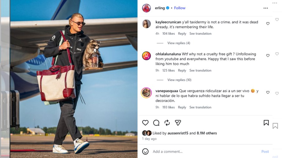 Haaland sofre críticas nas redes sociais por ter guaxinim empalhado