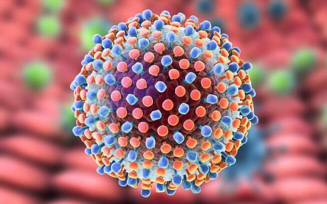Vírus da hepatite C é transmitido por meio de contato com sangue infectado,  e ao atingir o fígado pode evoluir para problemas mais graves