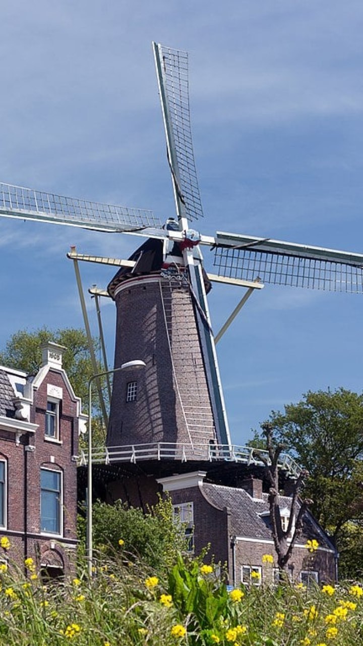 A tradição dos moinhos de vento na Holanda; conheça os principais