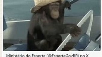 Governo publica e apaga imagem de macaco criticada nas redes antes da abertura