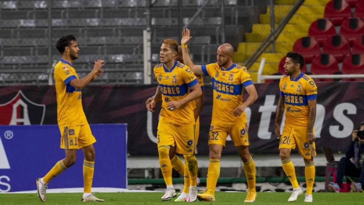 Керетаро тигрес. Тигрес ФК. Tigres UANL футбольный клуб. Тигрес Богота. Тигрес Унал Леон.