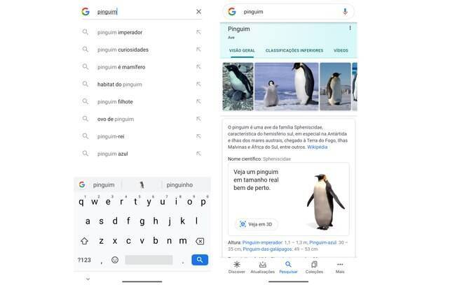 Saiba como ver diversos animais em 3D no Google pelo celular