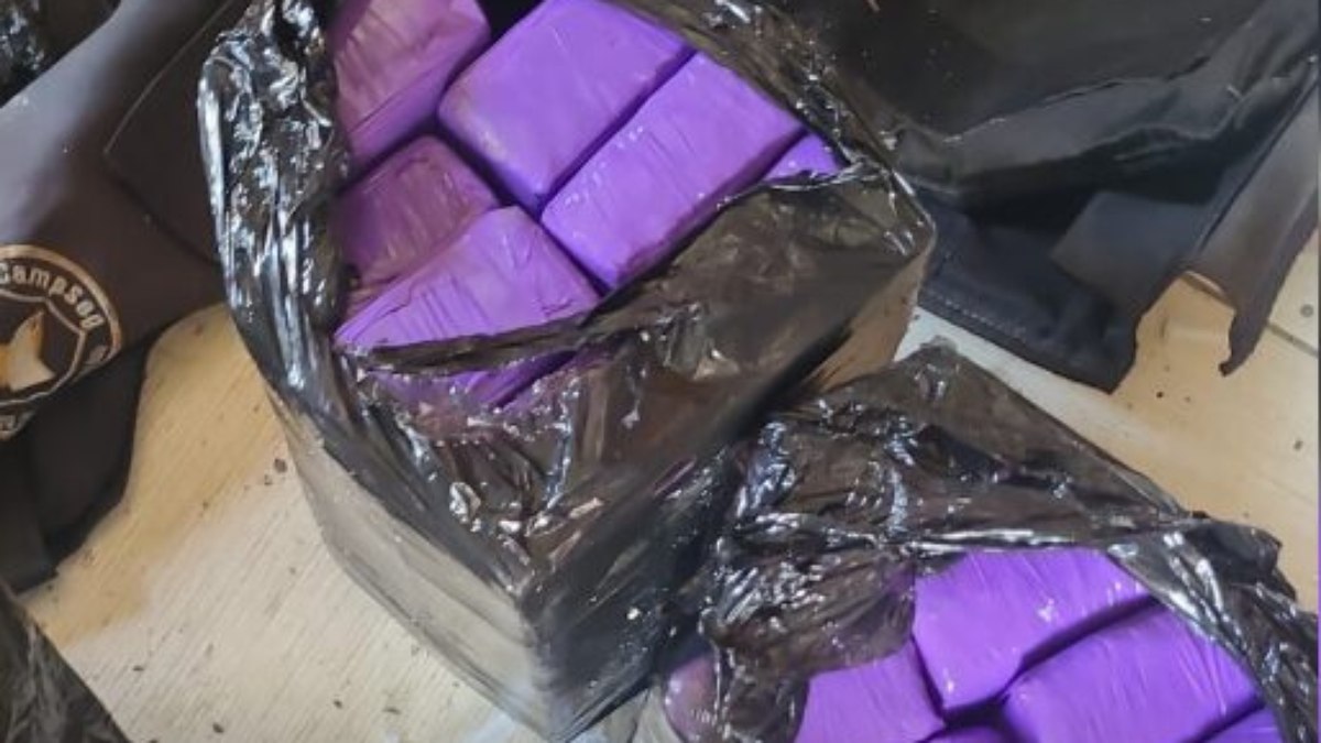 Drogas foram encontradas em uma região no Morro do Engenho