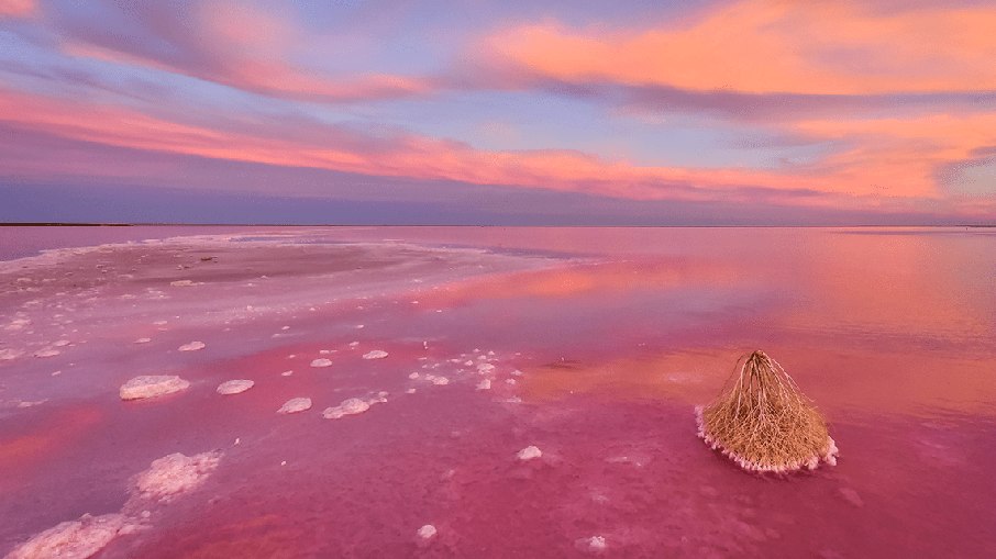 Lagos rosados, no Parque Nacional Murray Sunset