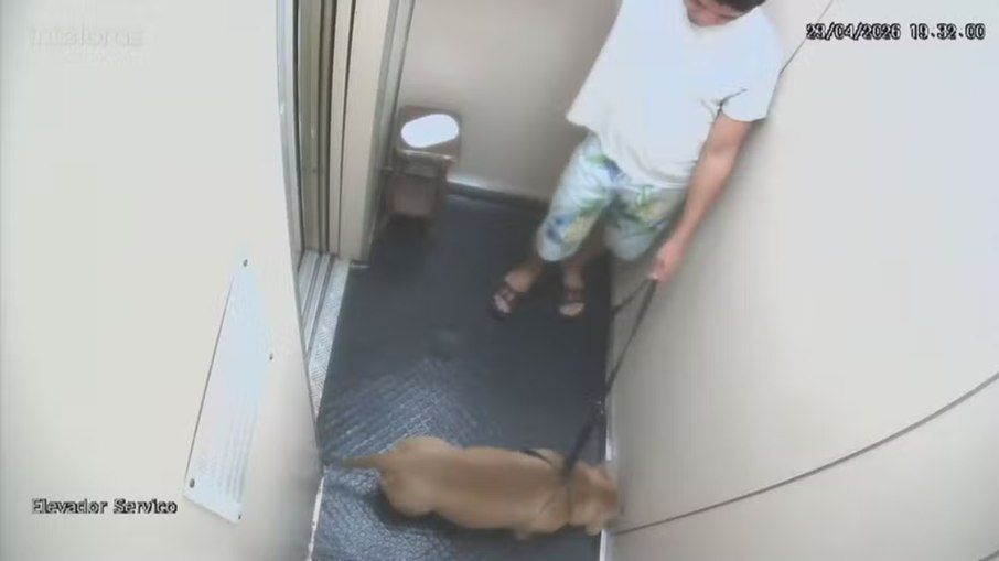 Tutor é acusado de afogar e matar cachorro no mar de Copacabana Tutor é acusado de afogar e matar cachorro no mar de Copacabana