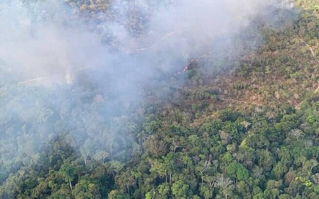 Região de Alter do Chão sofre com incêndios que destroem mata nativa