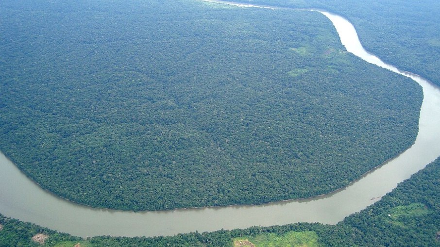 Florestas nativas, água doce e biodiversidade