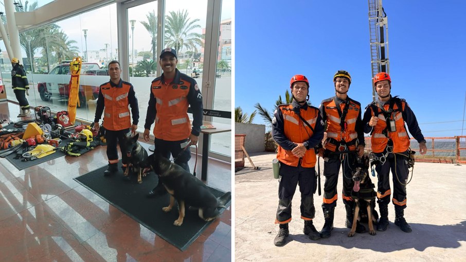 A relação entre o cão e seu bombeiro vai muito além do treinamento A relação entre o cão e seu bombeiro vai muito além do treinamento