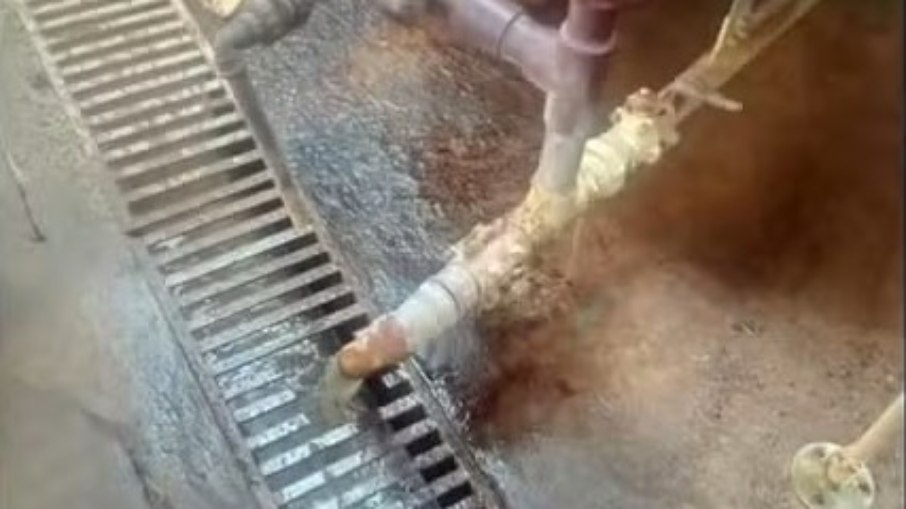 s fiscais também encontraram restos de produtos armazenados e devolvidos para linhas de envase dentro da unidade