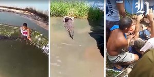 Homem confunde crocodilo com estátua e é atacado; assista