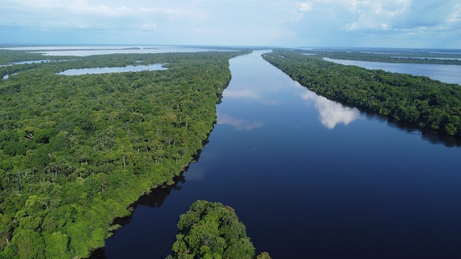 Parque Nacional de Anavilhanas - Novo Airão (AM)