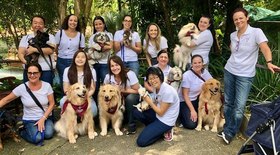 Patas Therapeutas, ONG leva terapia assistida por animais a hospitais