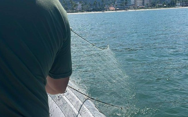 Animais marinhos ameaçados de extinção são salvos de redes em Caraguatatuba Animais marinhos ameaçados de extinção são salvos de redes em Caraguatatuba