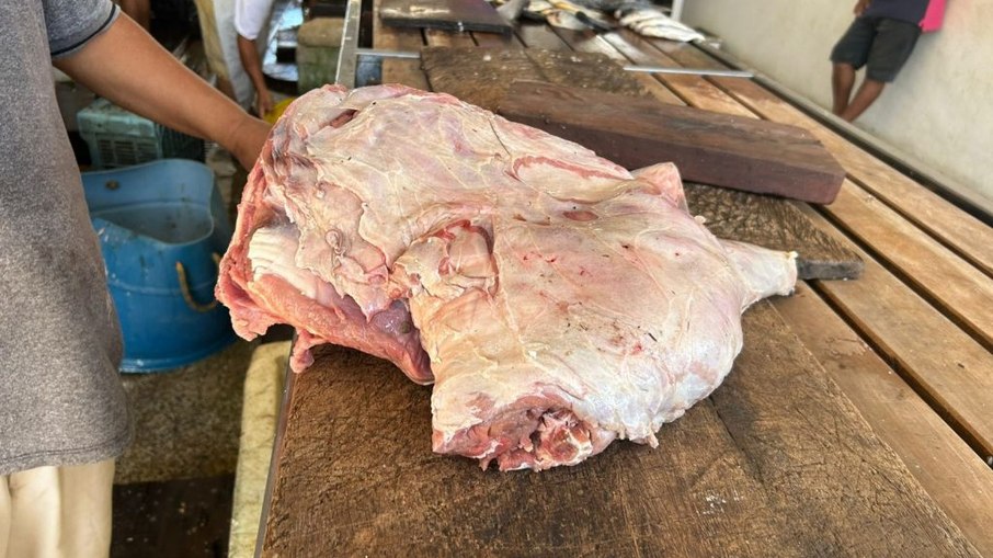 Venda ilegal de carne de capivara é flagrada no Amazonas
