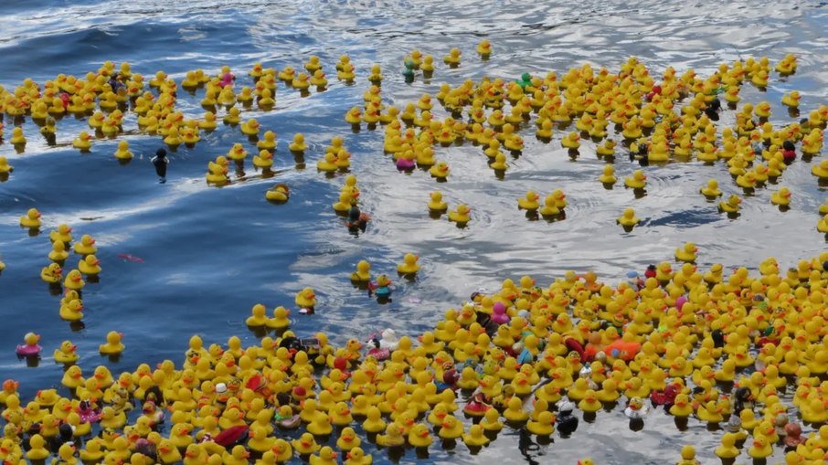 Corrida de patos de borracha anima o verão na Alemanha