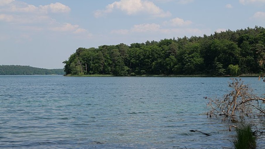 Lago Stechlin, no nordeste da Alemanha, onde foram identificados os fungos