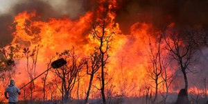 Número de focos de incêndio cai quase 70% no estado de SP