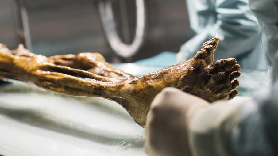 Pesquisadores encontraram bactérias e fungos na múmia Pesquisadores encontraram bactérias e fungos na múmia