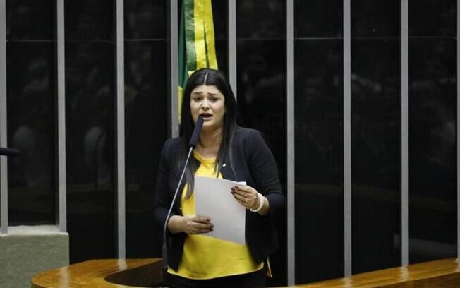 Rose Modesto (PSDB-MS). Foto: Luis Macedo/Câmara dos Deputados