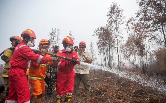 Gel brasileiro contra incêndios florestais é
testado no exterior