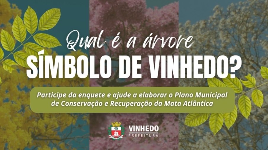 Iniciativa busca fortalecer a identidade ambiental e promover a preservação da Mata Atlântica Iniciativa busca fortalecer a identidade ambiental e promover a preservação da Mata Atlântica