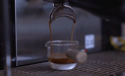 Cientistas revelam poder antienvelhecimento do café