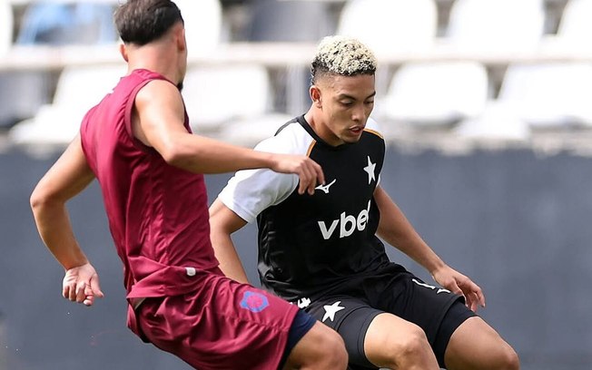 Barrera fez 27 jogos e dois gols pelo Botafogo Barrera fez 27 jogos e dois gols pelo Botafogo