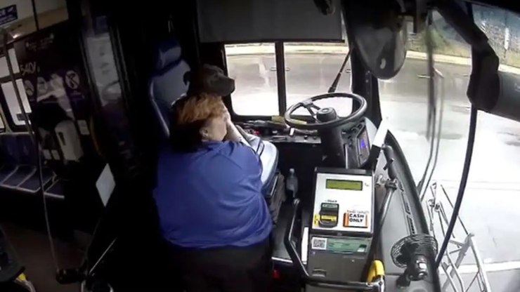 Motorista de ônibus salva cachorro perdido que corria pela chuva