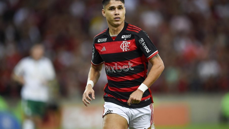 Luiz Araújo é um dos destaques do Flamengo na temporada