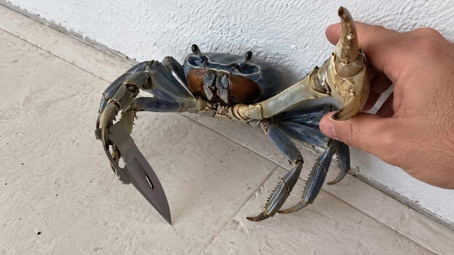 Caranguejo apareceu Caranguejo apareceu