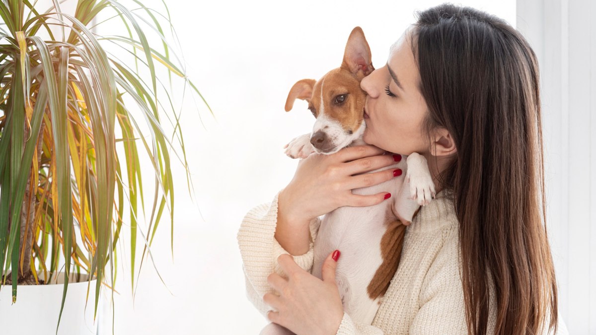 Mãe de pet Mãe de pet