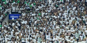 Palmeiras deve bater marca de 8 milhões de torcedores no Allianz