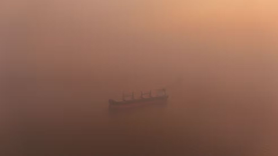 Pará enfrenta desmatamento e queimadas enquanto se prepara para ser palco de conferência mundial do clima