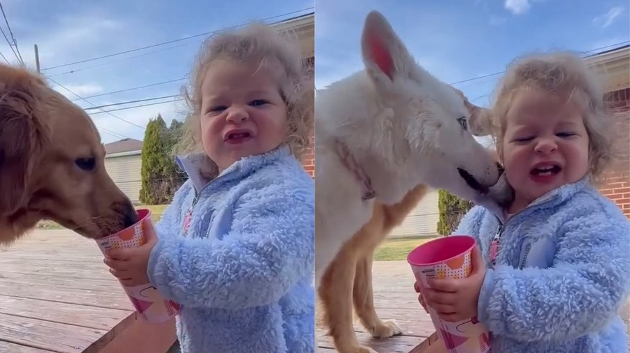 Menina recebe lambidas ao ajudar cães; entenda perigos Menina recebe lambidas ao ajudar cães; entenda perigos