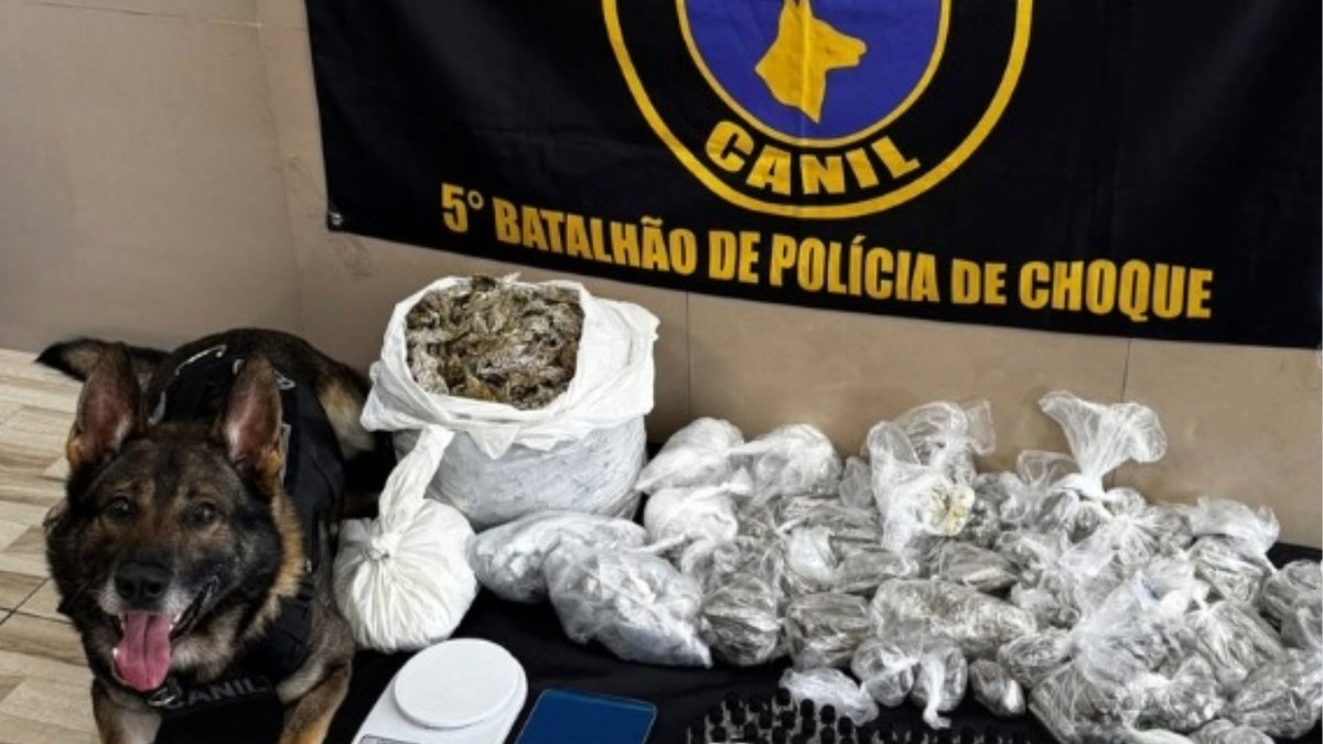 Operação em Paraisópolis: cão localiza mais de 12 kg de drogas - Foto