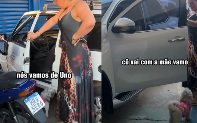 Cachorra rejeita andar de Uno após se acostumar com caminhonete 889bxpxap84i9uvq7io14xznk