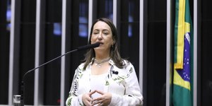 Fraude no INSS: deputada pede responsabilização criminal de Lupi
