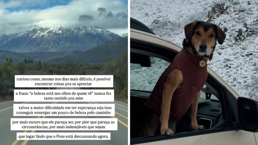 Tutores de Poze, um dos 'frentiscães' de Campinas, voltam ao Brasil após animal ser encontrado morto na Argentina