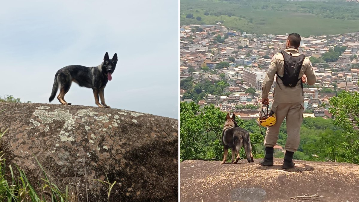Capitão André Marinho de Godoy Capitão André Marinho de Godoy