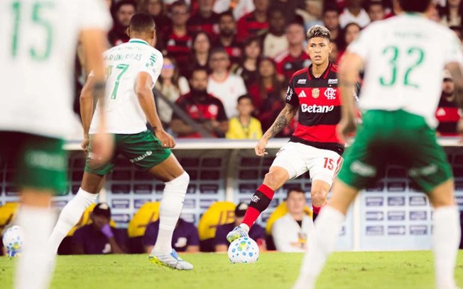Flamengo e Palmeiras brigam por título nacional Flamengo e Palmeiras brigam por título nacional