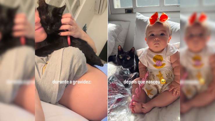 Gatinha cria laço de amor com bebê desde a barriga da mãe; vídeo