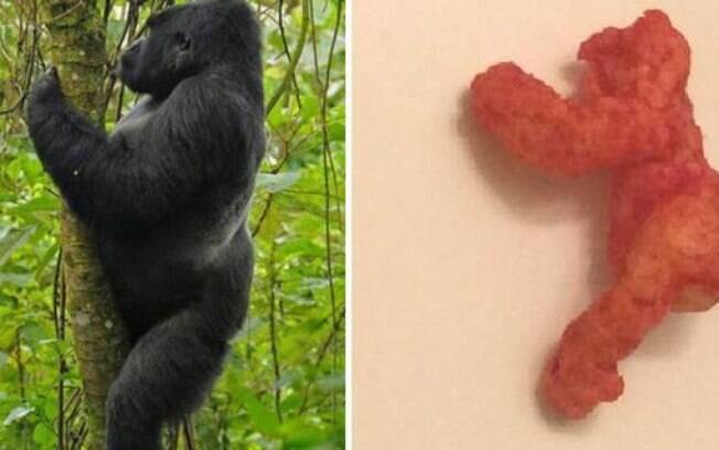 O salgadinho igual ao gorila custa mais de 100 mil dólares