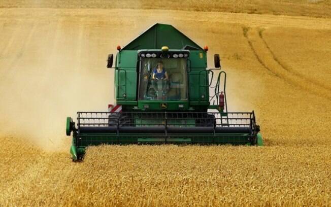 Os benefícios da volta do trabalhador ao campo