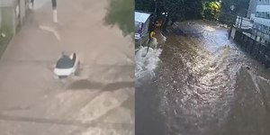 Chuva causa queda de árvores e carro fica ilhado em Campinas (SP)