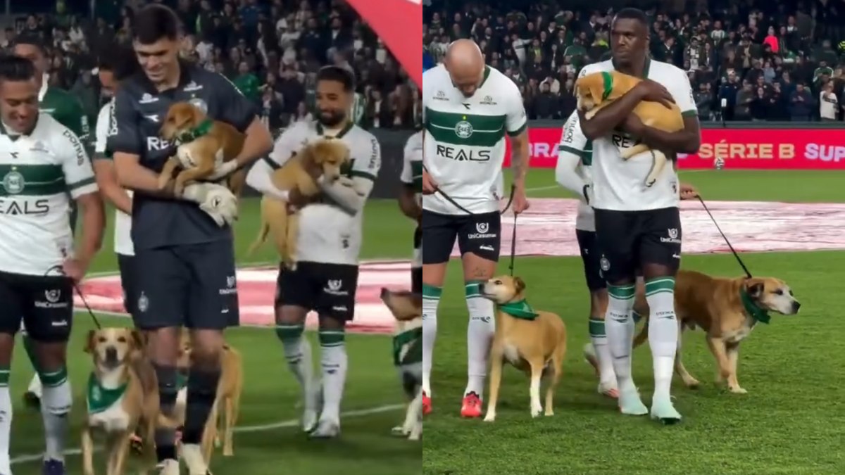 Coritiba leva cães para adoção ao gramado na Série B