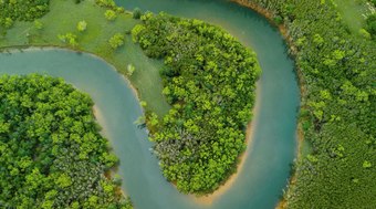 Amazônia bate recorde histórico de desmatamento em fevereiro, diz Inpe